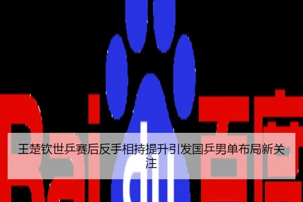 王楚钦世乒赛后反手相持提升引发国乒男单布局新关注